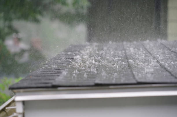 Best Hot Roofs  in Potomac Park, CA