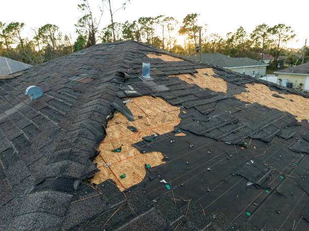 Best Roof Coating and Sealing  in Potomac Park, CA
